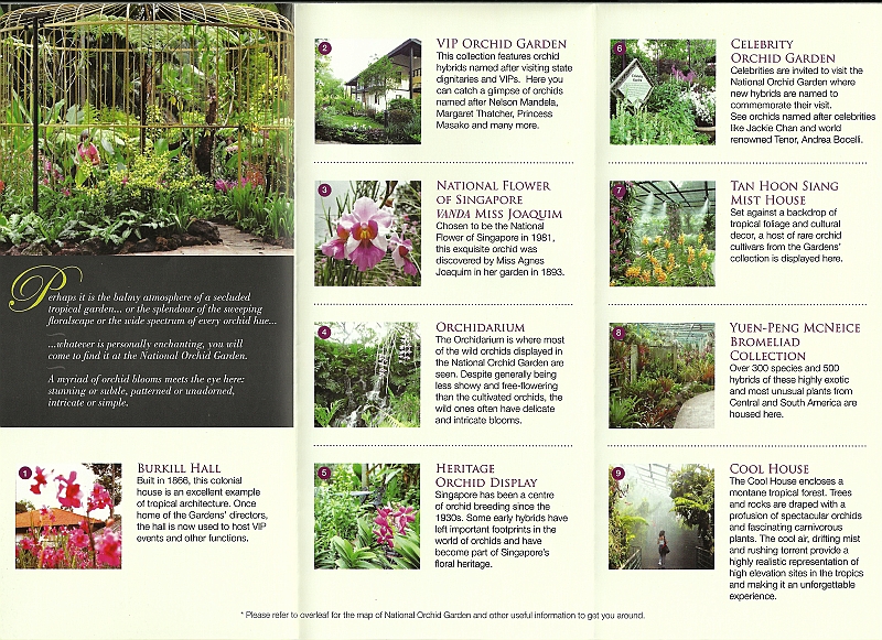 Orchid Garden2.jpg